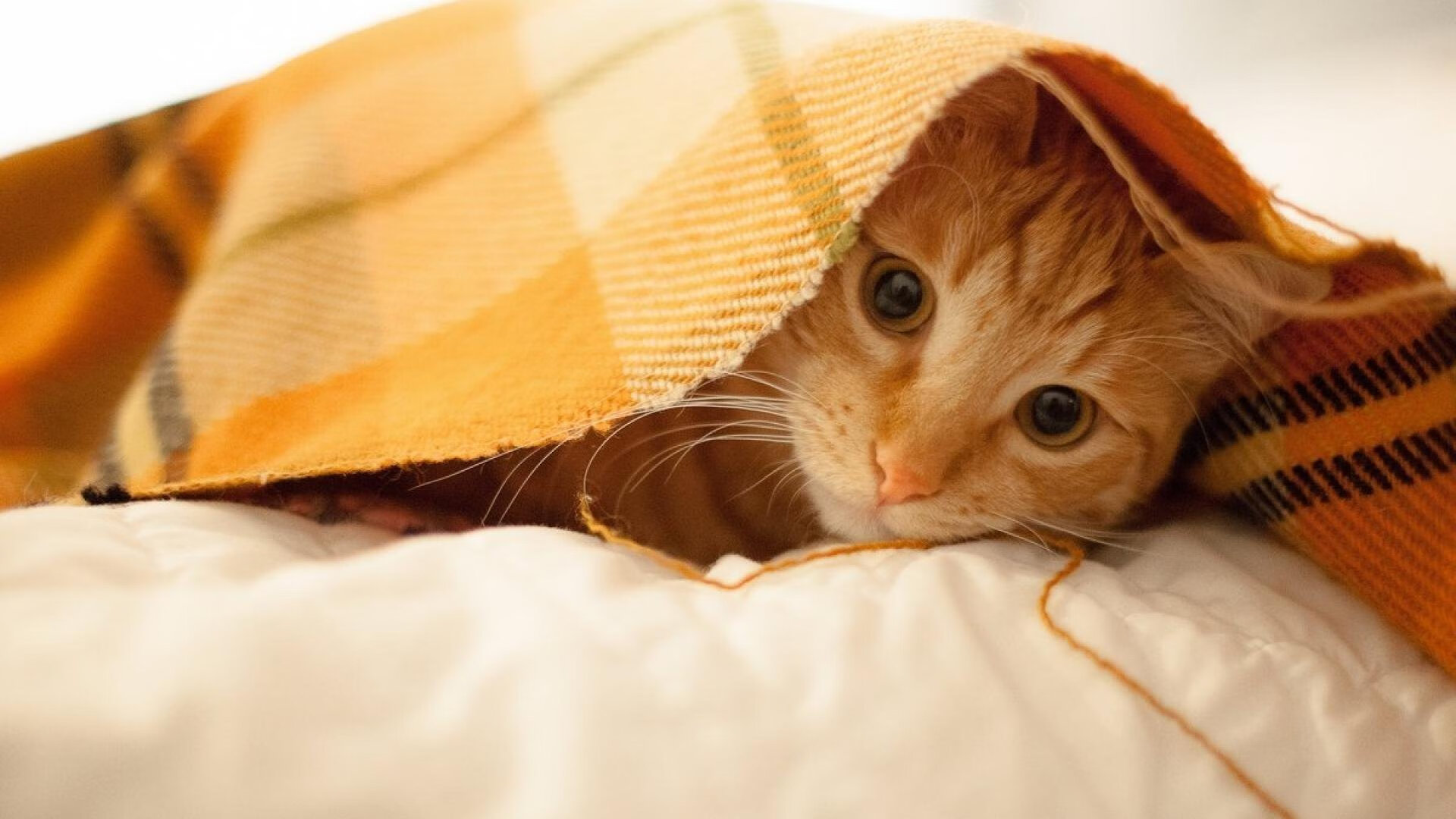 【水手新秀罗德里格斯】单场三全垒打引爆全场,罗徳里格斯