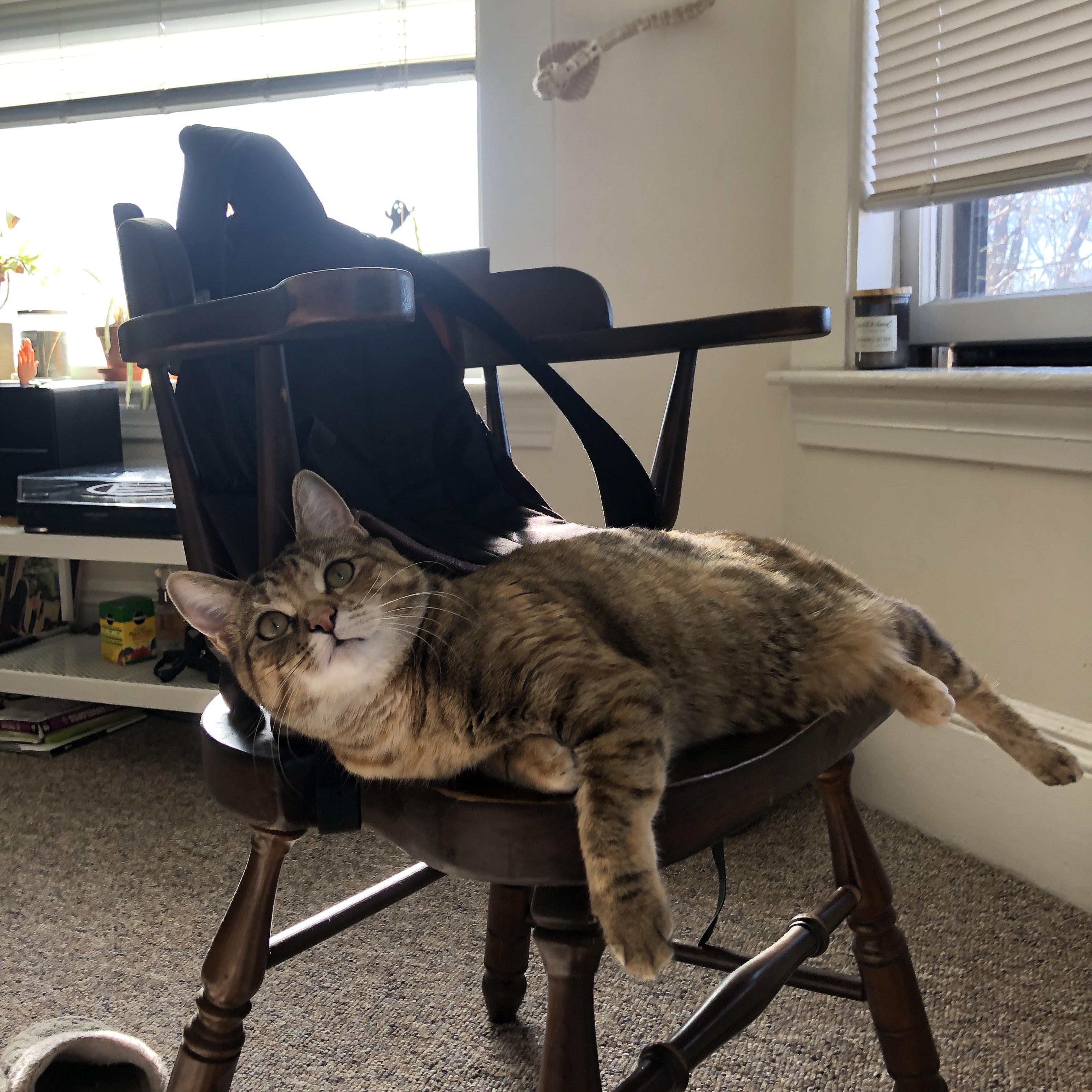 【战术大揭秘】马克·塞尔比:如何用细节赢得比赛?,马克塞尔比历史地位