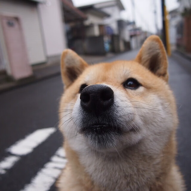 夜幕下的灯光跑,城市夜色中的运动狂欢,灯光下的城市夜晚